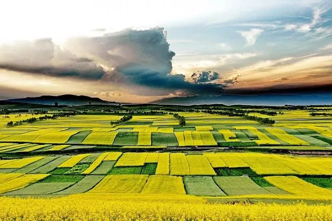 儲(chǔ)能·行業(yè)｜液流電池專(zhuān)用水泵解決方案——美寶儲(chǔ)能電解液專(zhuān)用泵